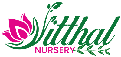 VitthaL Nursery Logo Final PNG web